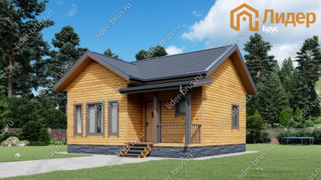 Проект ДБ-101