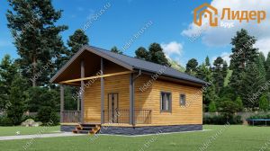 Главный вид мини