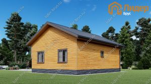 Второй вид мини