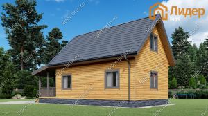 Второй вид мини