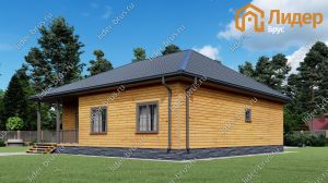 Второй вид мини