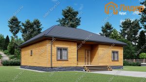 Третий вид мини