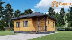 Главный вид мини