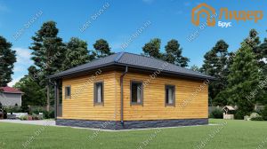 Второй вид мини