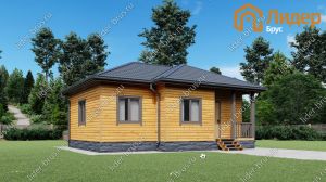 Четвертый вид мини