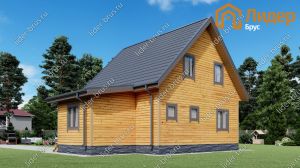 Второй вид мини