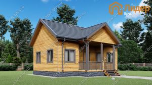 Четвертый вид мини