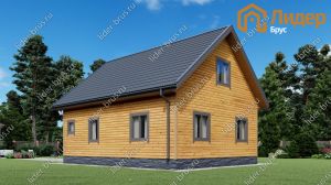 Второй вид мини