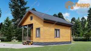 Второй вид мини