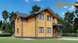 Четвертый вид мини