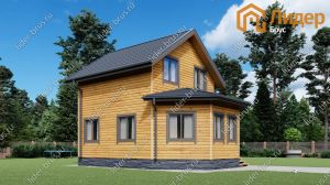 Четвертый вид мини