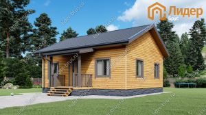 Главный вид мини