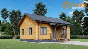 Четвертый вид мини