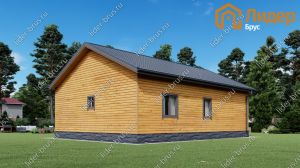 Третий вид мини