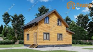 Третий вид мини