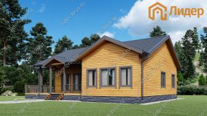 Второй вид мини