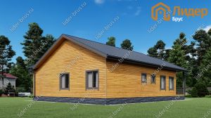 Третий вид мини