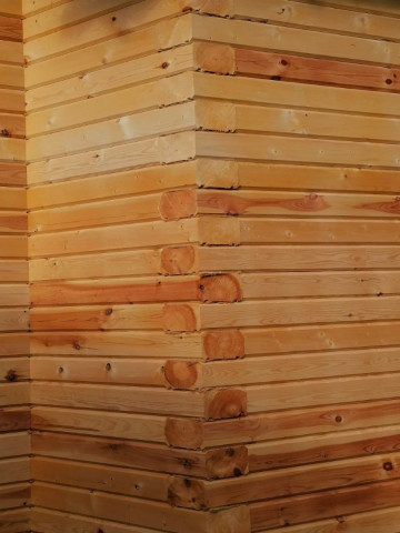 photo_2024-10-16_21-23-12