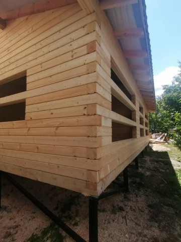 photo_2024-10-16_22-29-09